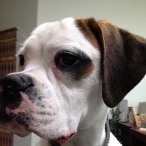 Meet your Posher, Linda